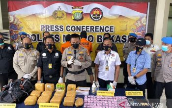 Polda Kalbar Bongkar Sindikat Narkoba Lintas Batas, 200 Kg Sabu Disita